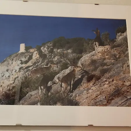 Lägenhet La Morada Del Mar