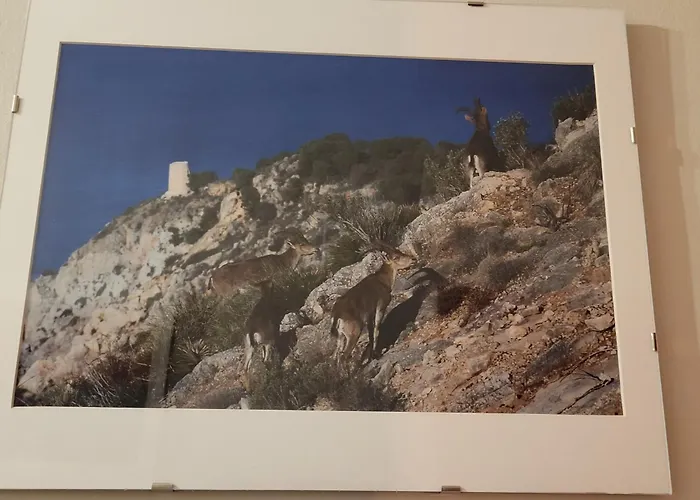 דירה La Morada Del Mar